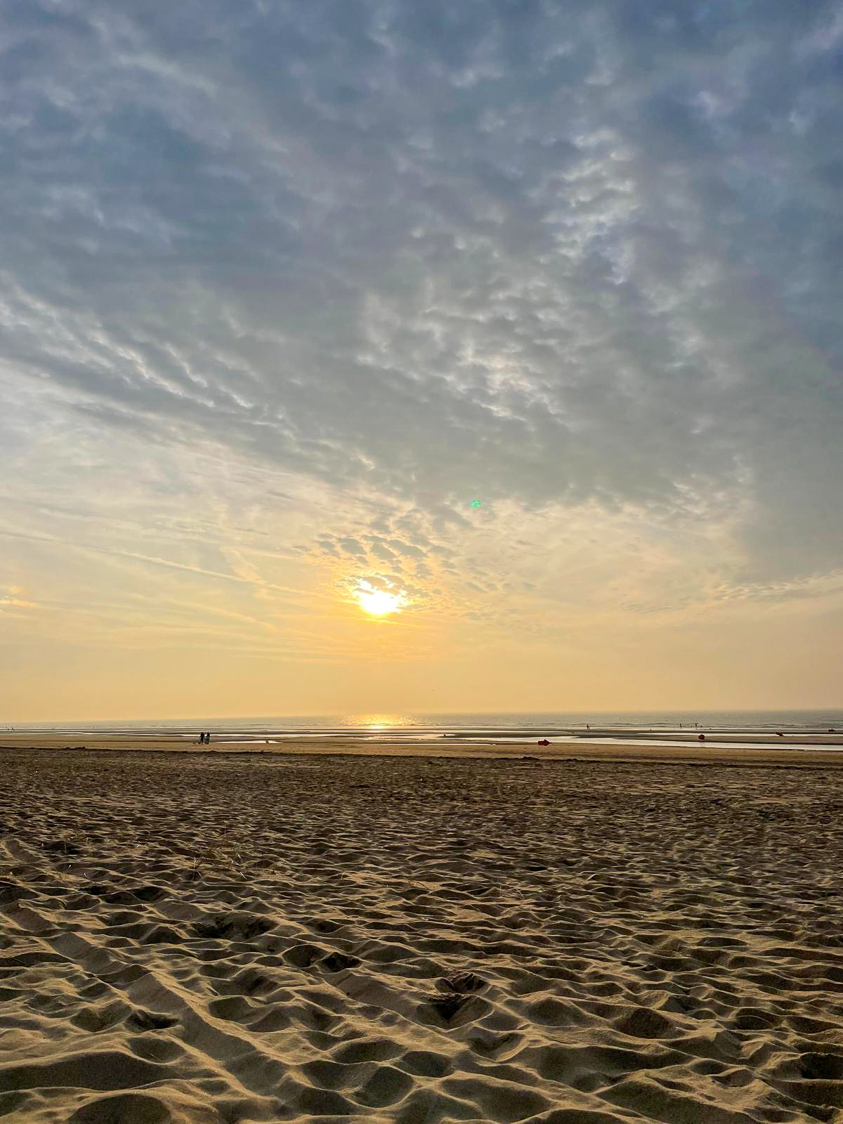 Zilt Sint Idesbald De Panne