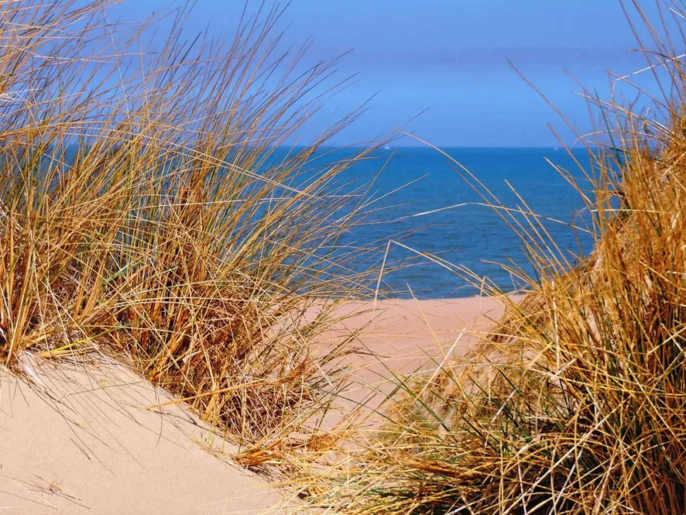 zeedijk Sint Idesbald